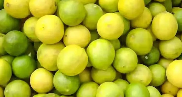 భారీగా పెరిగిన నిమ్మకాయల ధరలు.. ఒక బస్తాకు రూ.16 వేలు