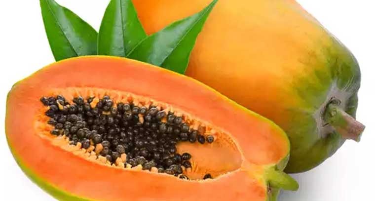 బొప్పాయి వల్ల లాభాలు