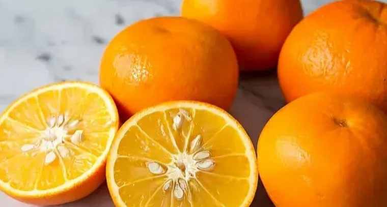 నారింజ విత్తనాలతో గుండె జబ్బులు దూరం: నిపుణులు