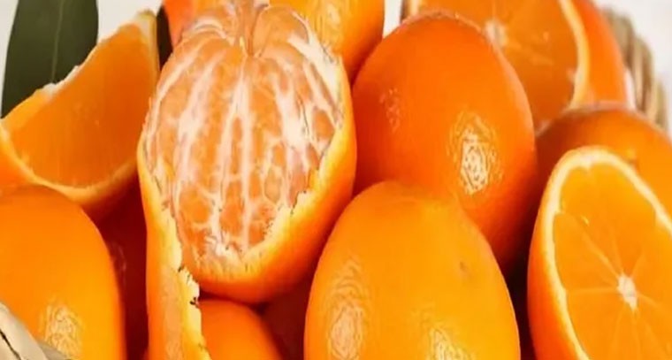 నారింజ పండ్లతో సీజనల్ వ్యాధులకు చెక్: నిపుణులు