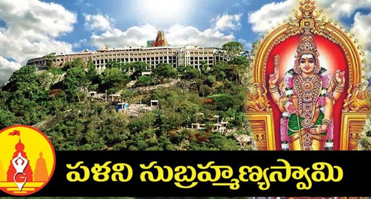 జ్ఞాన ప్రసాదిని పళని ... 