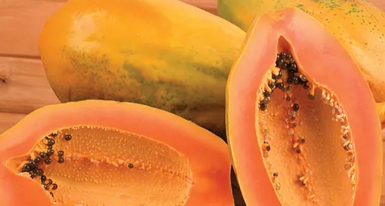 సాయంత్రం పూట బొప్పాయి పండును తింటే మెదడుకు మేలు: నిపుణులు