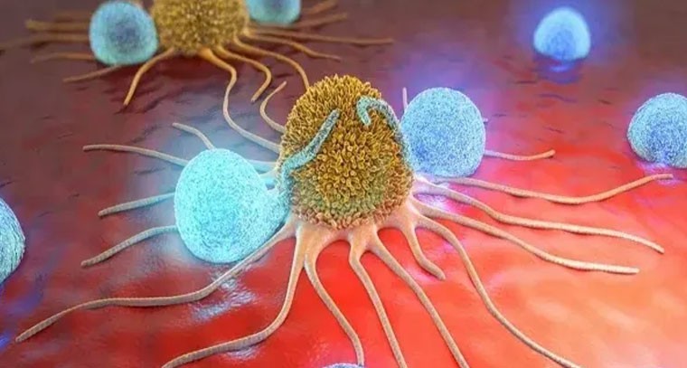 కప్ప ప్రేగులలోని బ్యాక్టీరియాతో క్యాన్సర్‌కు చికిత్స!