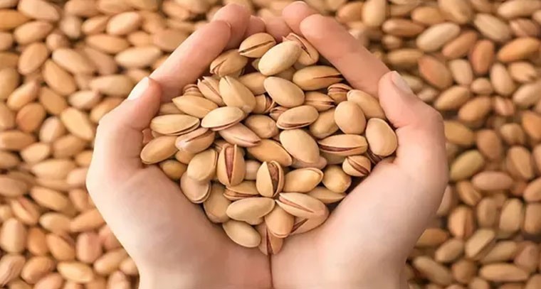 పిస్తా పప్పుతో గుండెకు మేలు: నిపుణులు