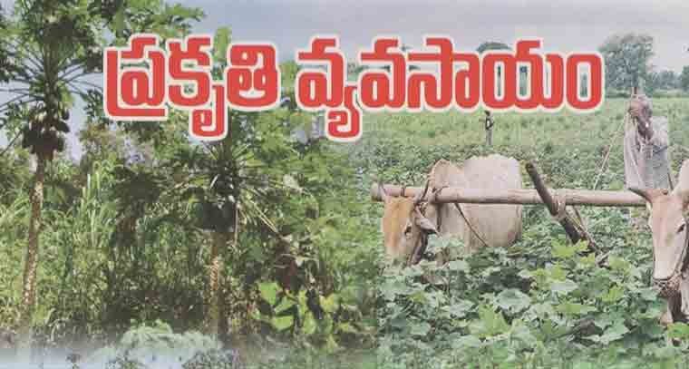 ప్రకృతి వ్యవసాయంలో రాష్ట్రాన్ని అగ్రస్థానంలో నిలబెడతాం 

