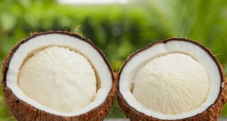 ప్రెగ్నెన్సీ టైంలో కొబ్బరి పువ్వులతో లాభాలేంటో తెలుసా..?