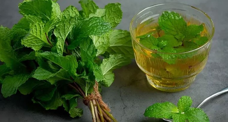పుదీనా ఆకులు తింటే ఎన్నో లాభాలు