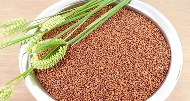 రాగులతో ఎన్ని ప్రయోజనాలో తెలుసా?