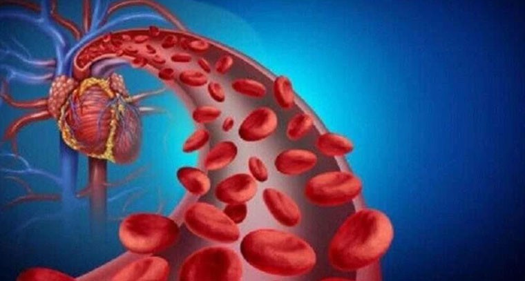 మీ శరీరంలో రక్త సరఫరా సరిగ్గా లేదని తెలిపే 9 లక్షణాలు ఇవే.