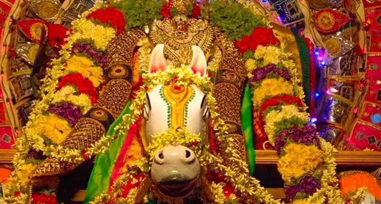 అశ్వ వాహనంపై దర్శనమిచ్చిన మృత్యుంజయే శ్వర స్వామి

