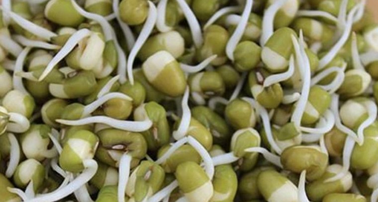 మొలకెత్తిన గింజలు తినడం వల్ల శరీరానికి అనేక ఆరోగ్య ప్రయోజనాలు