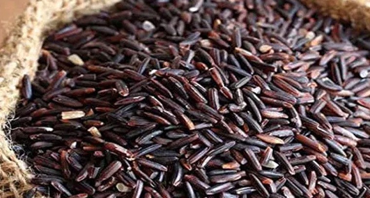 ఈ సాగుతో అధిక లాభాలు ఖాయం