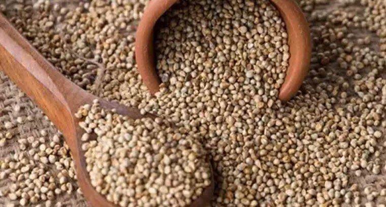 సజ్జలతో ఆరోగ్యం.. మధుమేహం, బీపీ నియంత్రణకు అద్భుత పరిష్కారం