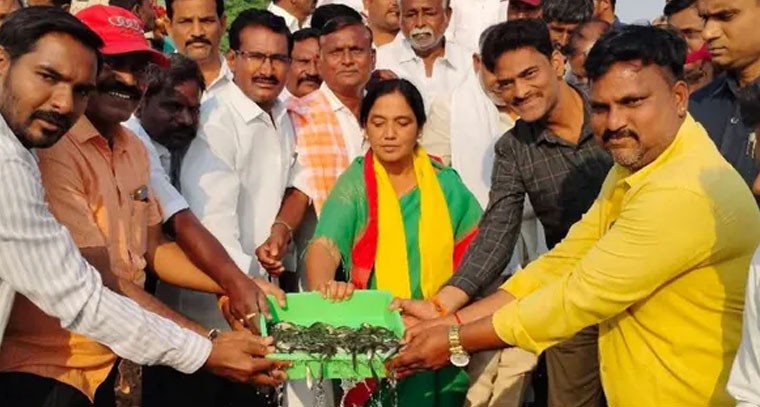 చెరువు లో చేప పిల్లలు ను వదిలిన ఎమ్మెల్యే పరిటాల సునీత