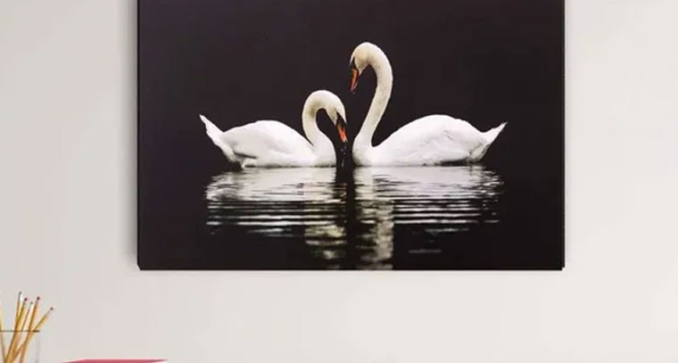 హంసల బొమ్మలు ఇంట్లో ఈ దిశలో ఉంటే ప్రయోజనాలు