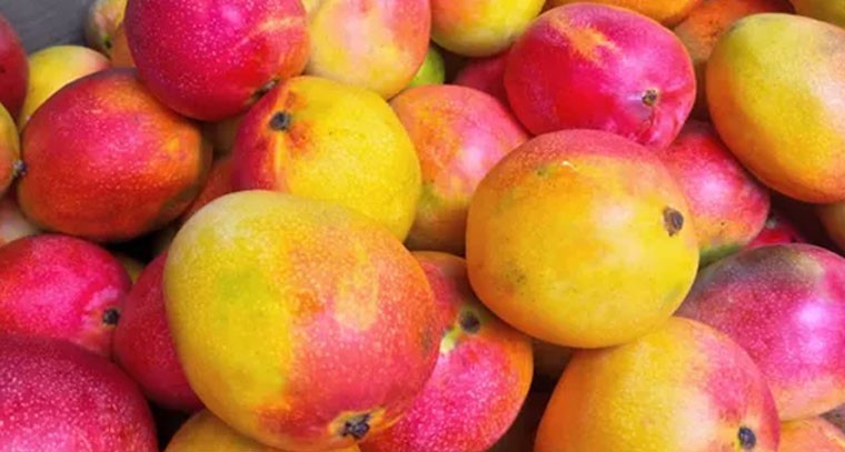 సింధూరం మామిడి పండుతో కలిగే ప్రయోజనాలివే..