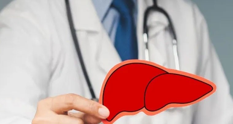 కాలేయ ఆరోగ్యం.. శరీరంలో కనిపించే హెచ్చరిక సంకేతాలు ఇవే