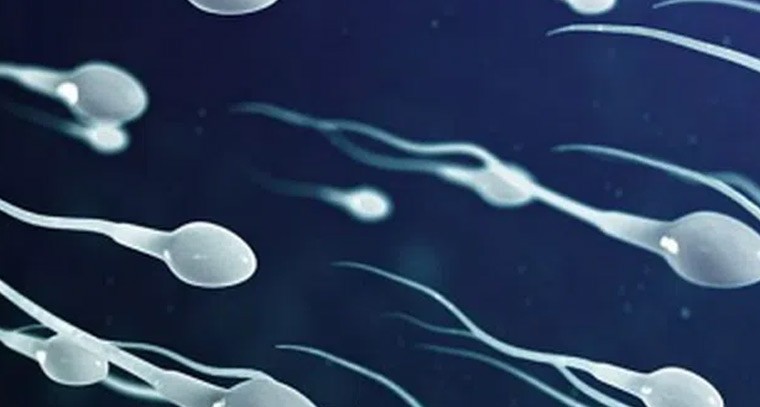 స్పెర్మ్ కౌంట్ పెరగాలంటే ఇలా చేయండి.!