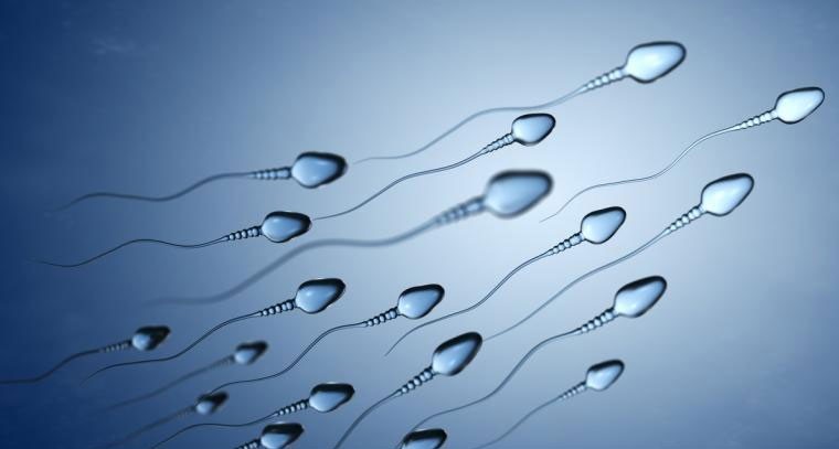 వీర్య పుష్టి కోసం పురుషులు ఏం చేయాలంటే