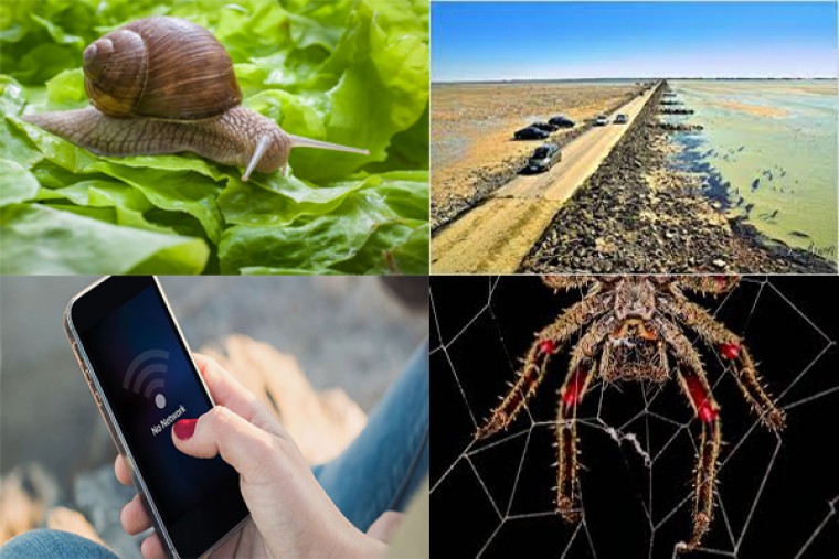 మీకు తెలుసా...!!