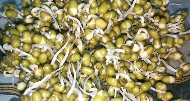 పెసర మొలకలతో షుగర్ మాయం: నిపుణులు