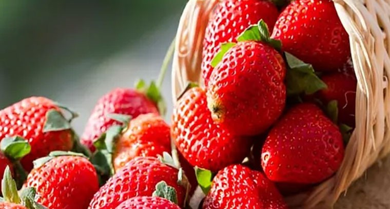 స్ట్రాబెర్రీలతో క్యాన్సర్, గుండె జబ్బులు మాయం: నిపుణులు