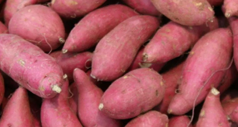 స్వీట్‌ పొటాటో తింటే...