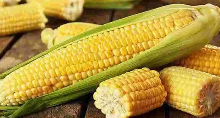 స్వీట్ కార్న్ తో ఆరోగ్య ప్రయోజనాలివే!