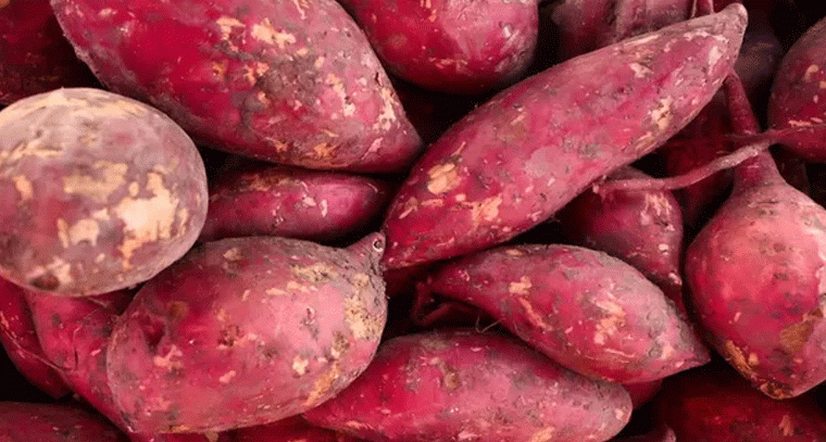 చిలకడదుంపలతో మెదడు ఆరోగ్యానికి మేలు: నిపుణులు