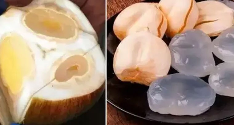 వేసవిలో తాటి ముంజలతో ఎన్నో ప్రయోజనాలు..