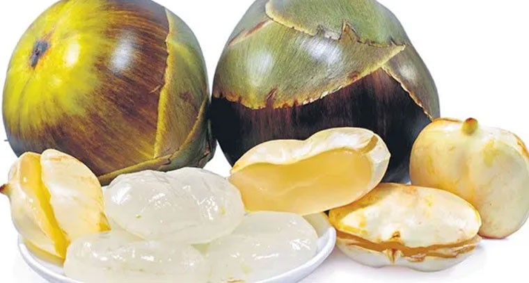 తాటి ముంజలు తింటే ఎన్నో ఆరోగ్య ప్రయోజనాలు!