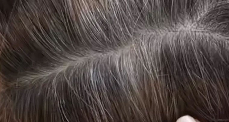 తెల్ల జుట్టును నల్లగా మారాలా?.. సహజసిద్ధమైన హెయిర్ డై ట్రై చేయండి!