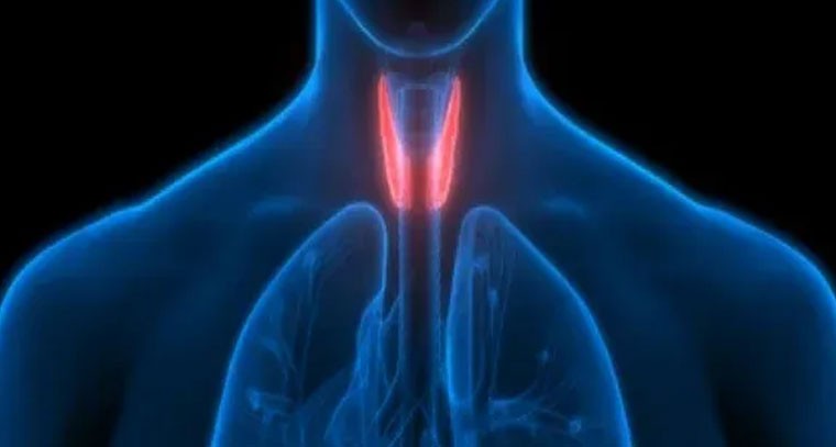 థైరాయిడ్: లక్షణాలు, సమస్యలు, వెంటనే పరీక్ష చేయించుకోండి!