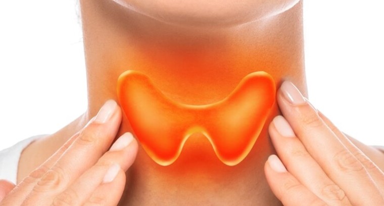 థైరాయిడ్ సమస్యలకు కొత్తిమీర నీరు అద్భుతమైన హోం రెమెడీ