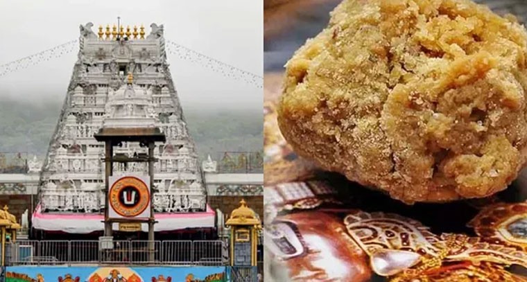 తిరుమల కల్తీ నెయ్యి వ్యవహారంలో దర్యాప్తు వేగవంతం