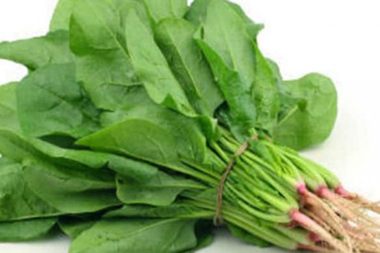 పాలకూరతో ఎన్నో ఆరోగ్య ప్రయోజనాలు 

