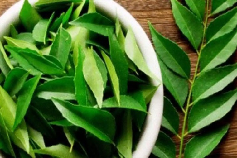 కరివేపాకుతో ఆరోగ్య ప్రయోజనాలెన్నో 

