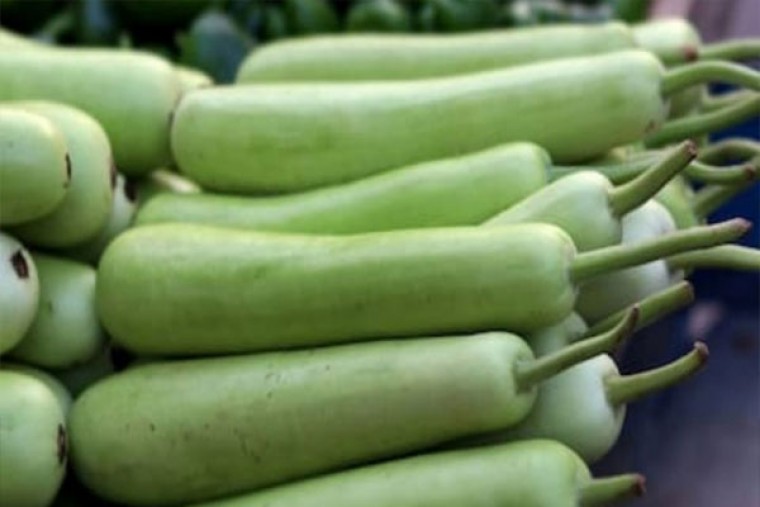 సొరకాయతో కలిగే ప్రయోజనాలు 

