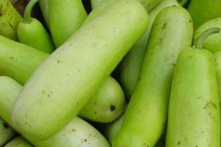 సొరకాయతో కలిగే ప్రయోజనాలు 

