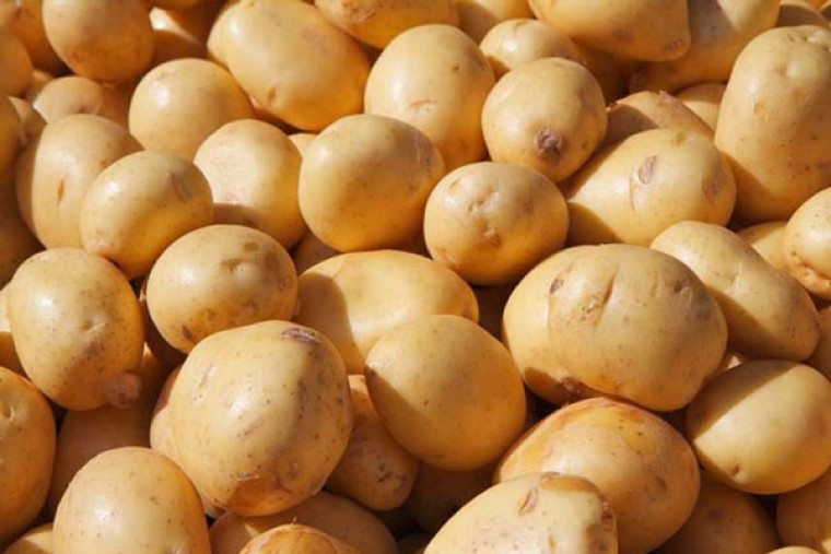 బంగాళదుంపలతో కలిగే లాభాలు

