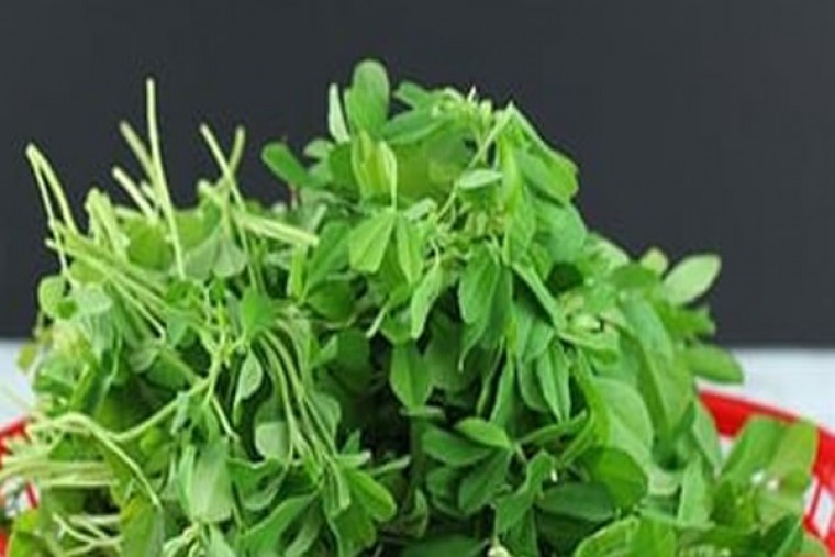 మెంతి కూరతో ఎన్నో ప్రయోజనాలు 

