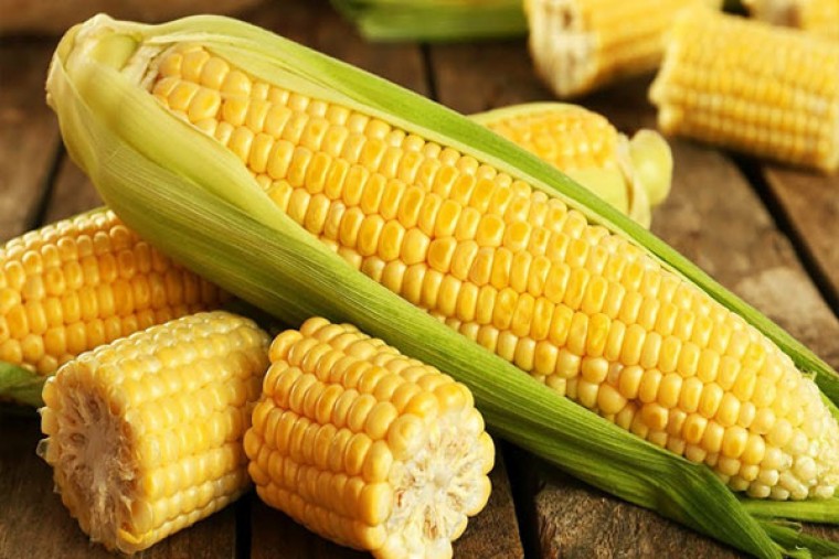 మొక్కజొన్న తినడం వల్ల అనేక లాభాలు 

