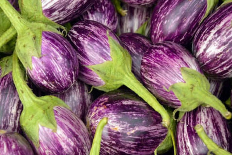  వంకాయలో అనేక ఆరోగ్య ప్రయోజనాలు

