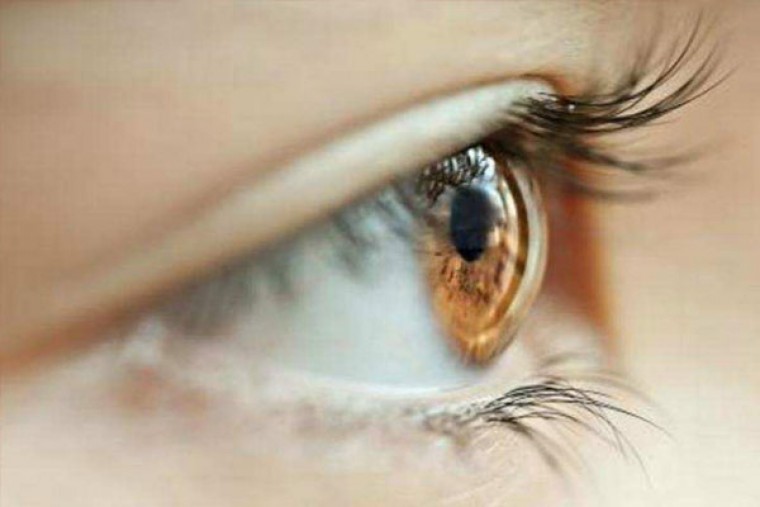 కంటి ఆరోగ్యం కోసం ఆ ఆహారం ఎంతో మేలు 

