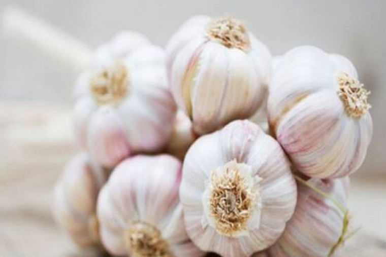 వెల్లుల్లితో ఎన్నో ప్రయోజనాలు 

