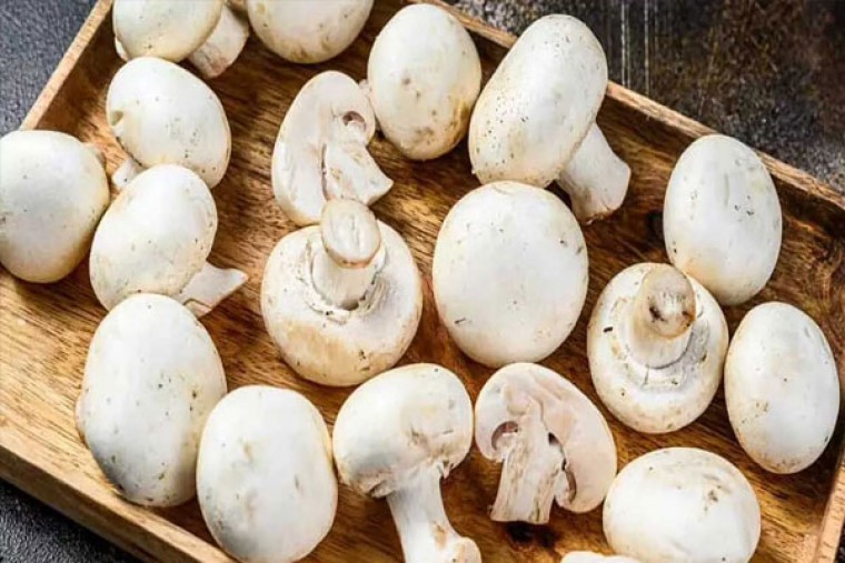 పుట్టగొడుగుల్లతో కలిగే లాభాలు 

