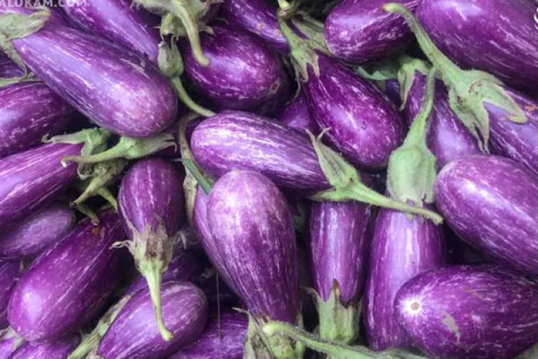 వంకాయతో అనేక ఆరోగ్య ప్రయోజనాలు

