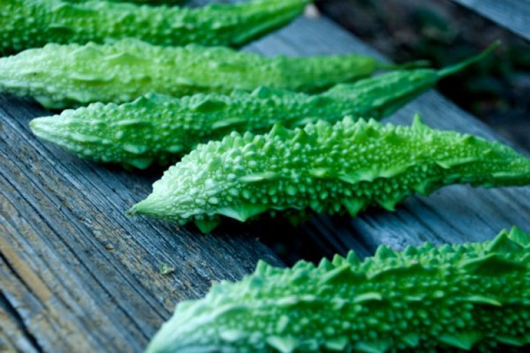 కాకరకాయతో ఎన్నో ప్రయోజనాలు 

