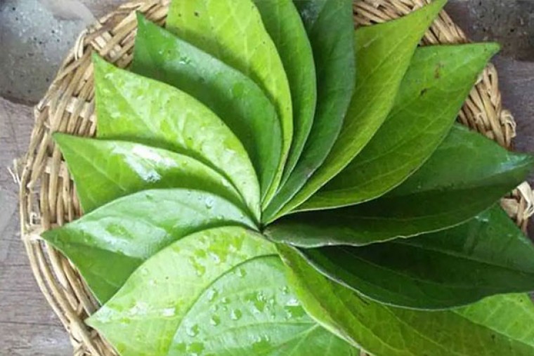 తమలపాకులుతో ఆరోగ్య లాభాలు 

