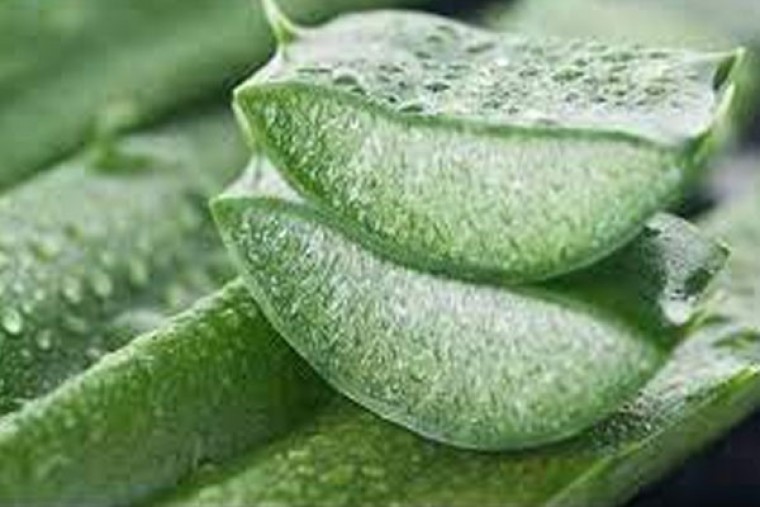 కలబందతో ఆ సమస్యకు చెక్ 

